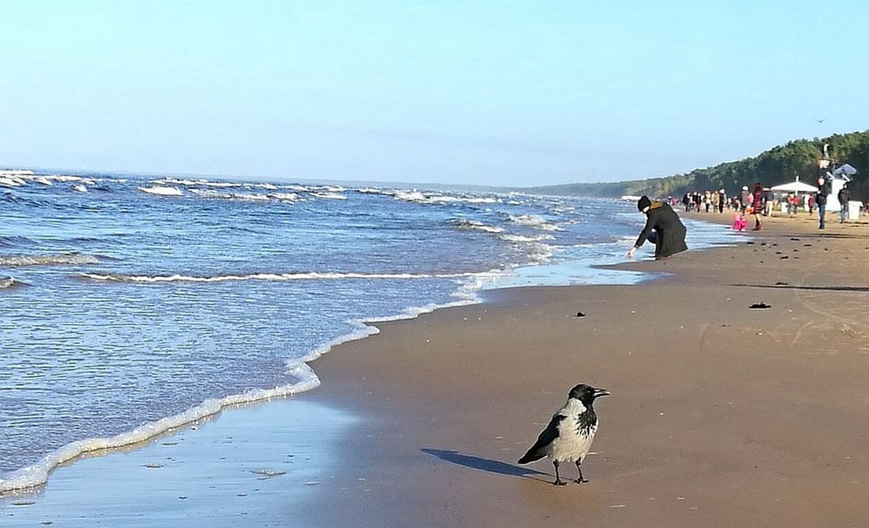 MAN ON BEACH AGAINST SKY