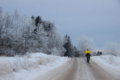 Person riding bicycle on snow covered street amidst trees during winter