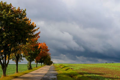 Footpath amidst trees against sky during autumn