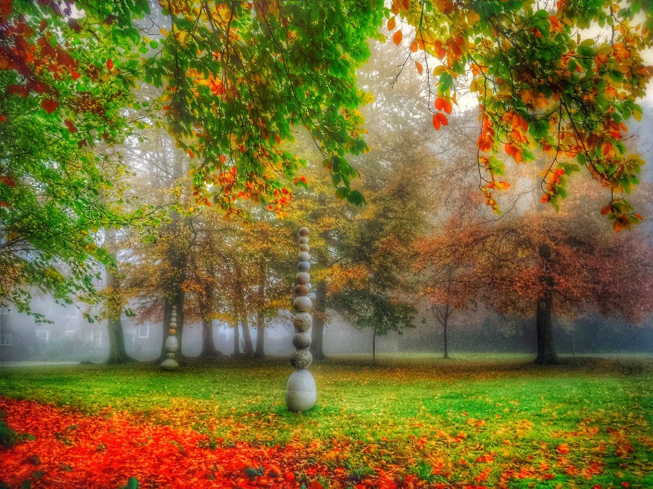 tree, autumn, change, season, growth, beauty in nature, nature, tranquility, orange color, park - man made space, tranquil scene, scenics, red, branch, flower, leaf, field, day, grass, outdoors