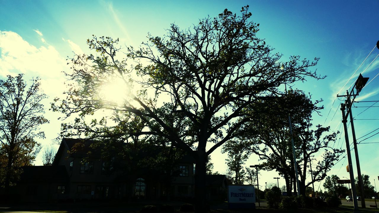 sun, low angle view, tree, sunbeam, building exterior, built structure, sunlight, architecture, sky, lens flare, silhouette, branch, bare tree, sunny, blue, street light, bright, nature, house, outdoors