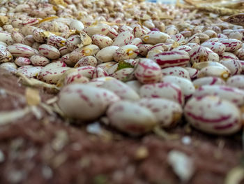 Close-up of onions for sale at market stall
