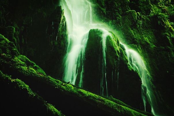 waterfall, water, long exposure, motion, beauty in nature, nature, rock - object, forest, scenics, power in nature, flowing water, night, tree, tranquility, cave, rock formation, outdoors, no people, blurred motion, idyllic