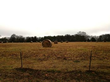 Scenic view of rural landscape