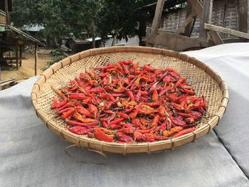 Red chili peppers drying in the sun
