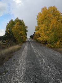 Road amidst trees against sky