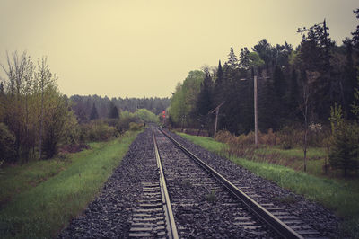 Railway tracks amidst trees against clear sky