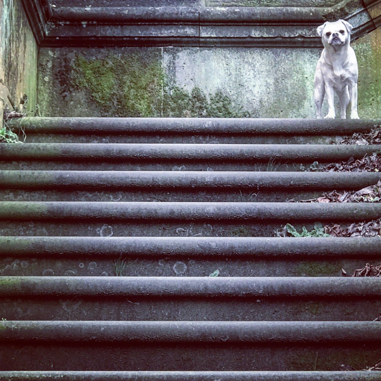 LOW ANGLE VIEW OF STEPS ON STAIRCASE