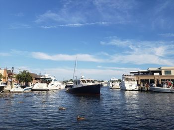 Sailboats moored at harbor against sky