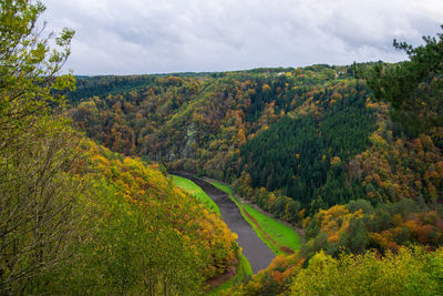 Scenic view of forest against sky during autumn