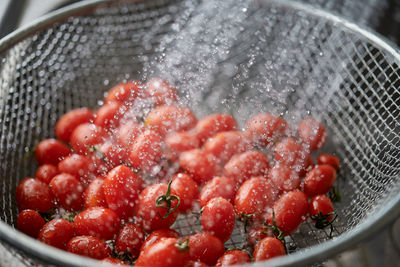 Close-up of water spray on the tomatoes