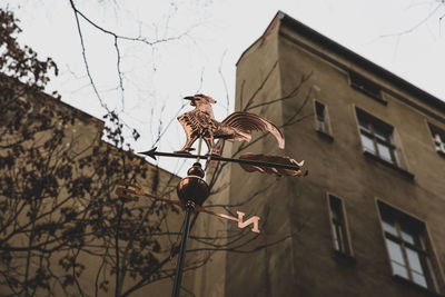 An old backyard in prenzlauer berg with a weathercock