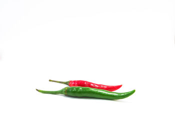 Close-up of red chili pepper against white background