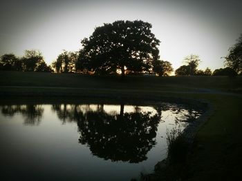 Reflection of trees in lake