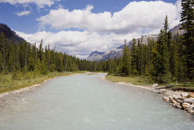 Panoramic view of trees and mountains against sky