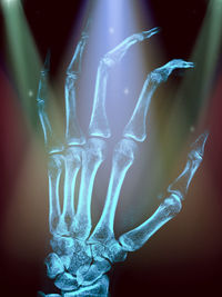Close-up of human hand