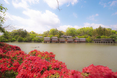 Scenic view of river by trees against sky