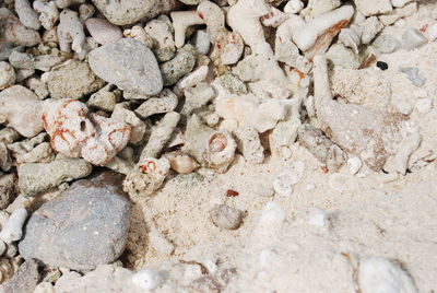 Pebbles on rocks
