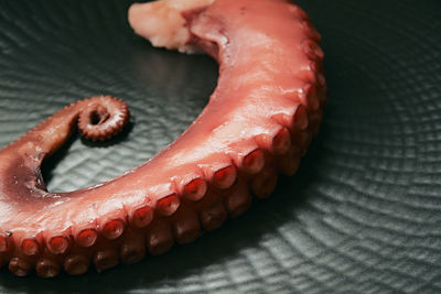 Close up of a piece of a boiled octopus