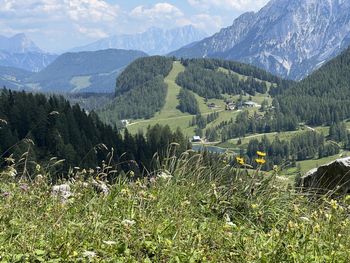 Scenic view of mountains