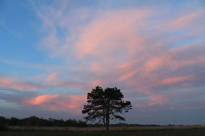 Scenic view of field against cloudy sky