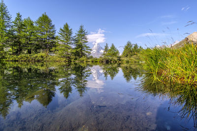 Reflection of trees in lake against sky