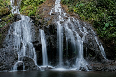 Scenic view of waterfall in forest