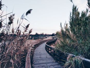 Scenic view of boardwalk