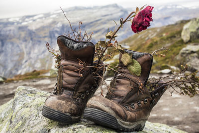 Close-up of shoes on mountain