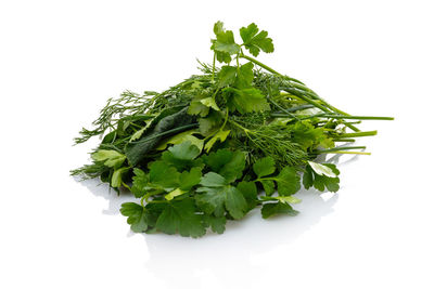 Close-up of plant against white background