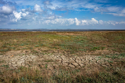 Scenic view of field against sky