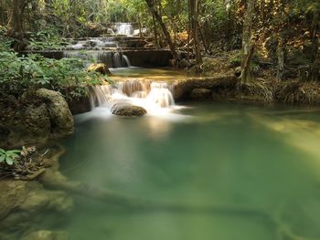 Water flowing through rocks in forest