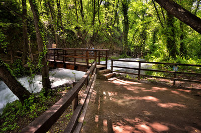 Footbridge over footpath amidst trees in forest