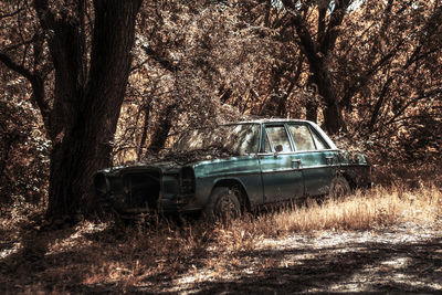 Abandoned car on field