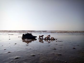 Scenic view of sea against clear sky