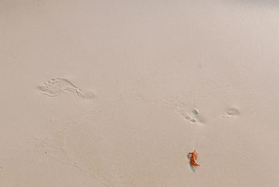 View of beach
