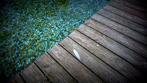 Full frame shot of wood