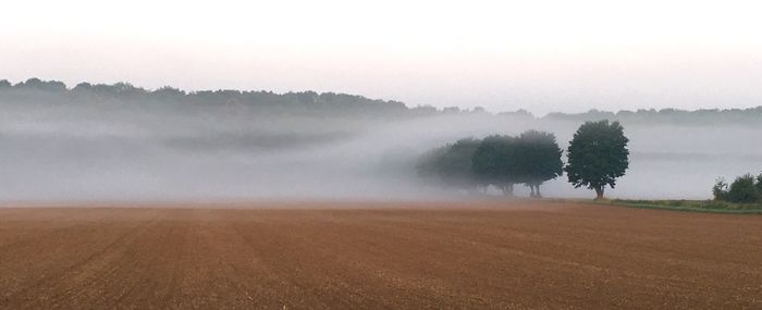 Scenic view of field against sky during foggy weather