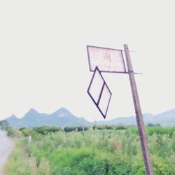 Scenic view of grassy field