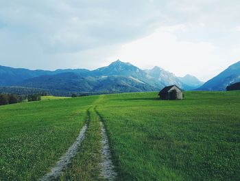 Scenic view of agricultural field against sky