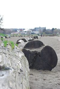 Rocks on landscape