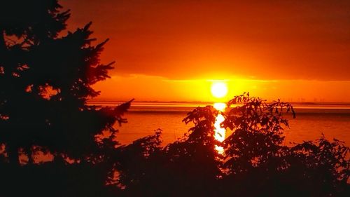 Scenic view of sea at sunset