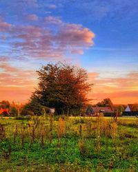 Scenic view of field against sky during sunset