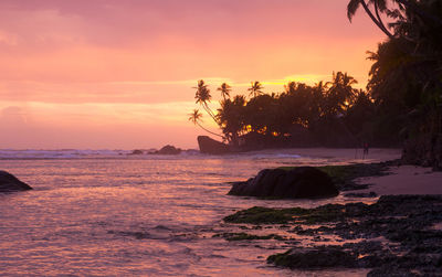 Scenic view of sea during sunset