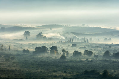Scenic view of landscape against sky