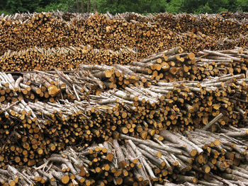 Stack of logs