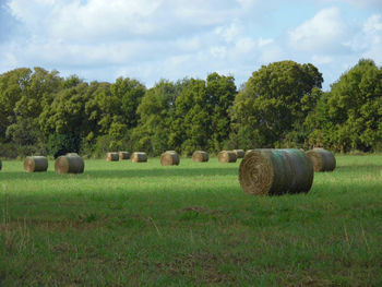 Hay bales on field against sky