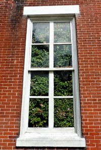 Window of house