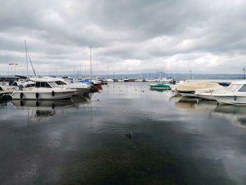 Boats moored in harbor