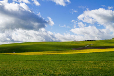 Scenic view of field against sky